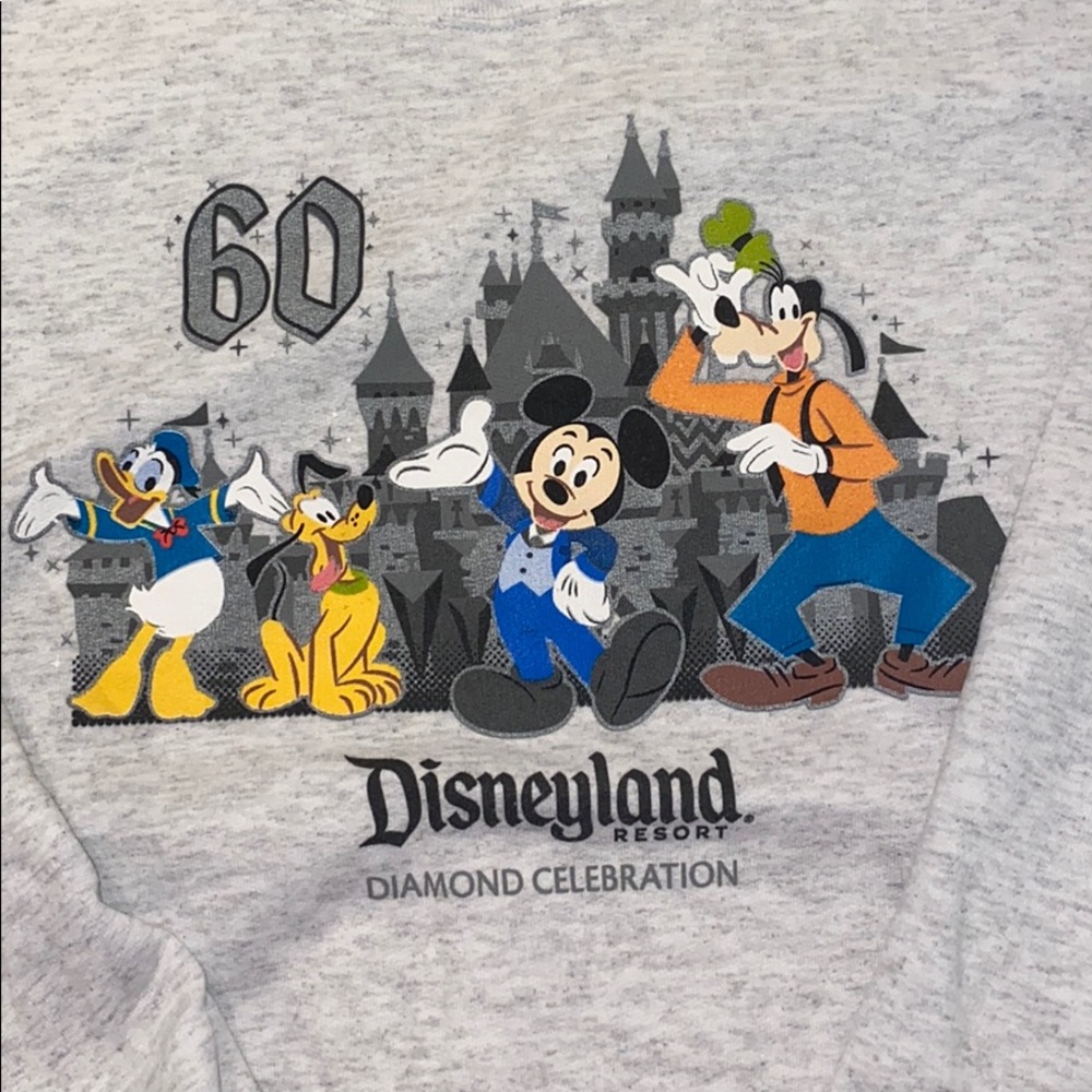 🎆🎇DISNEYLAND MICKEY SWEATER, Small/Youth XL